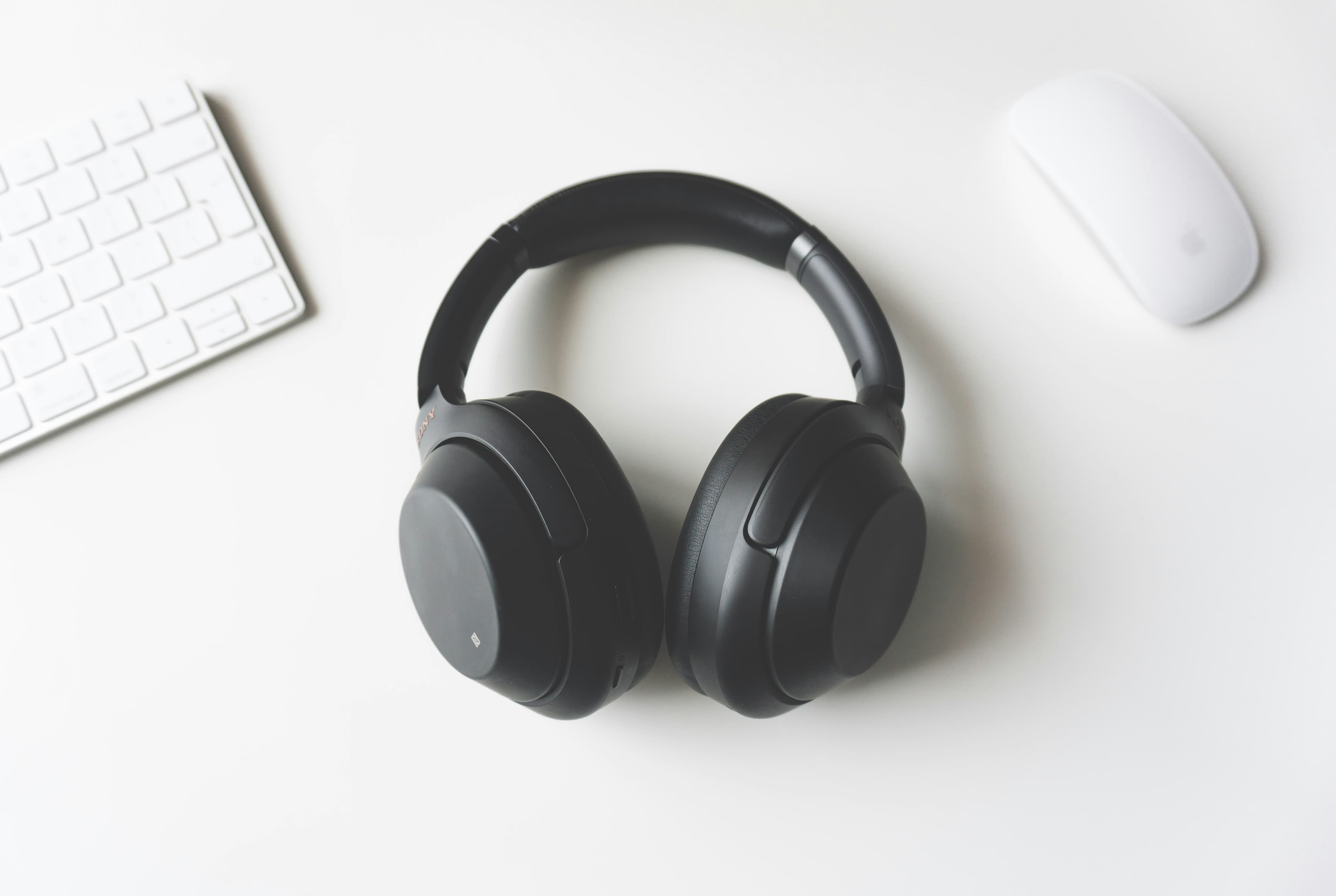 Pulse Earbuds